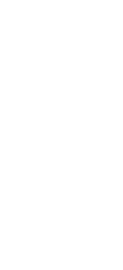 食卓を彩る健康野菜